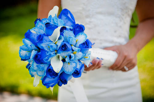 Tiny blue flowers for bridal bouquet