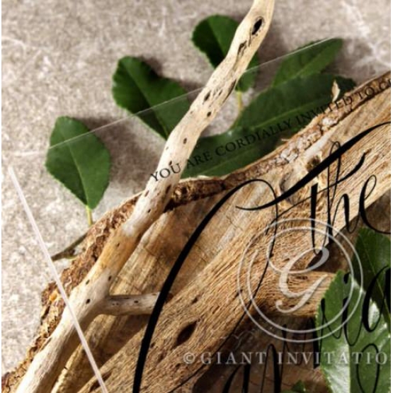 Acrylic Polished Affair - Wedding Invitations - NOB117310-BK-C - 185482